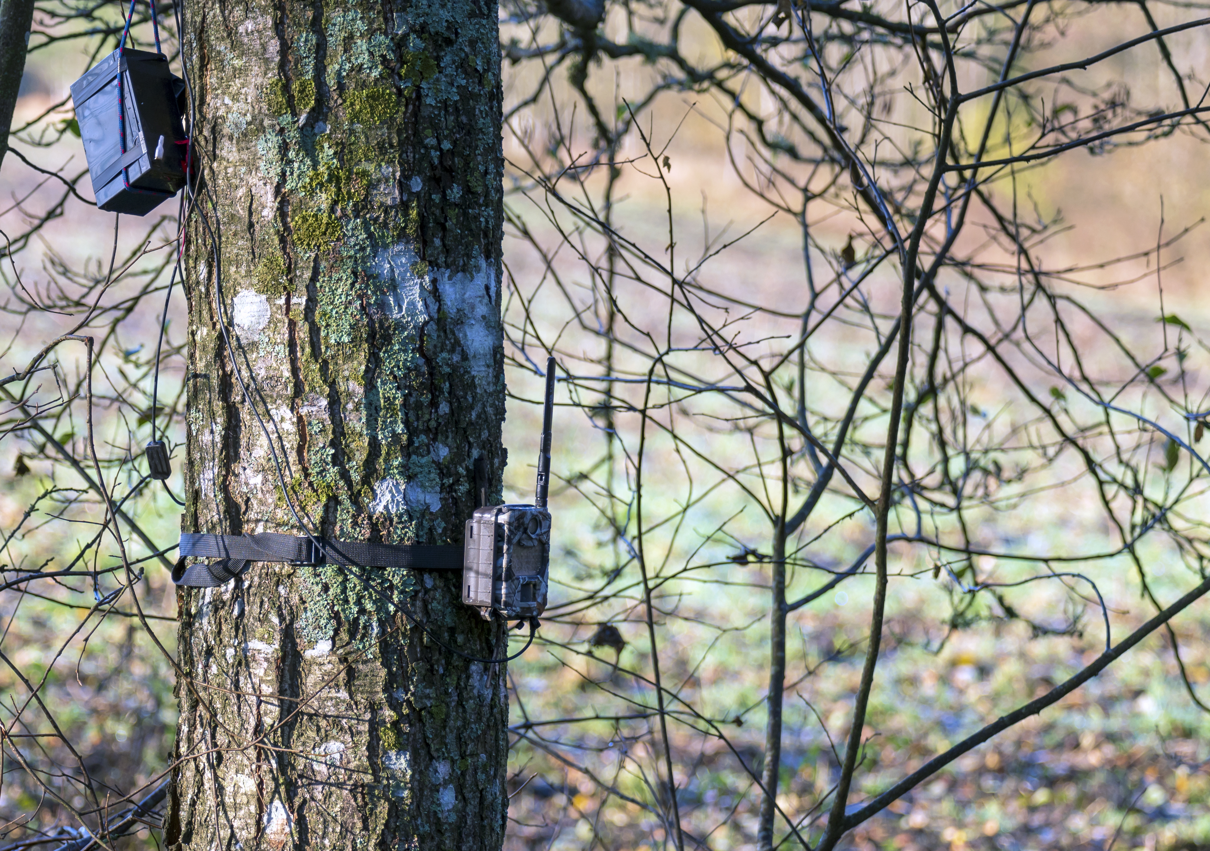 technology and hunting