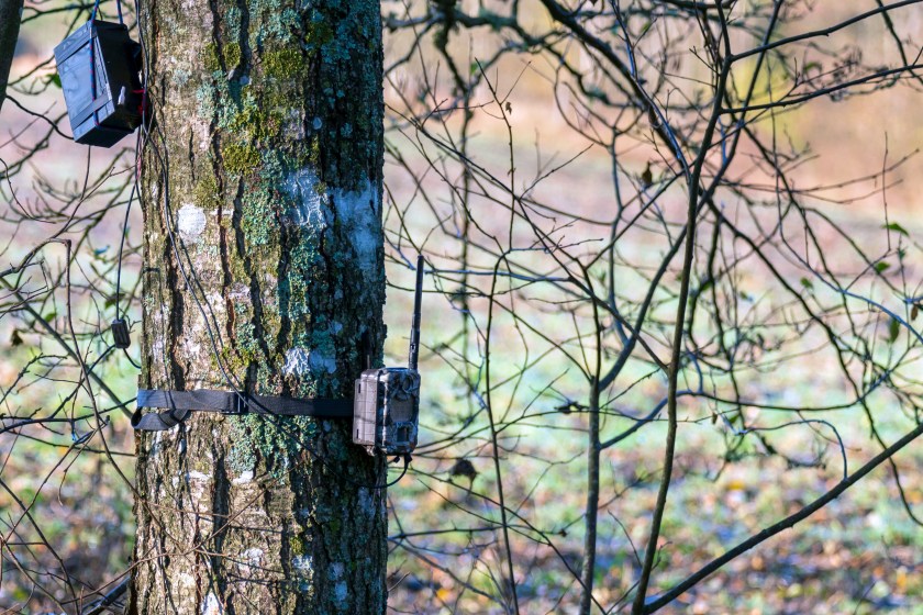 technology and hunting