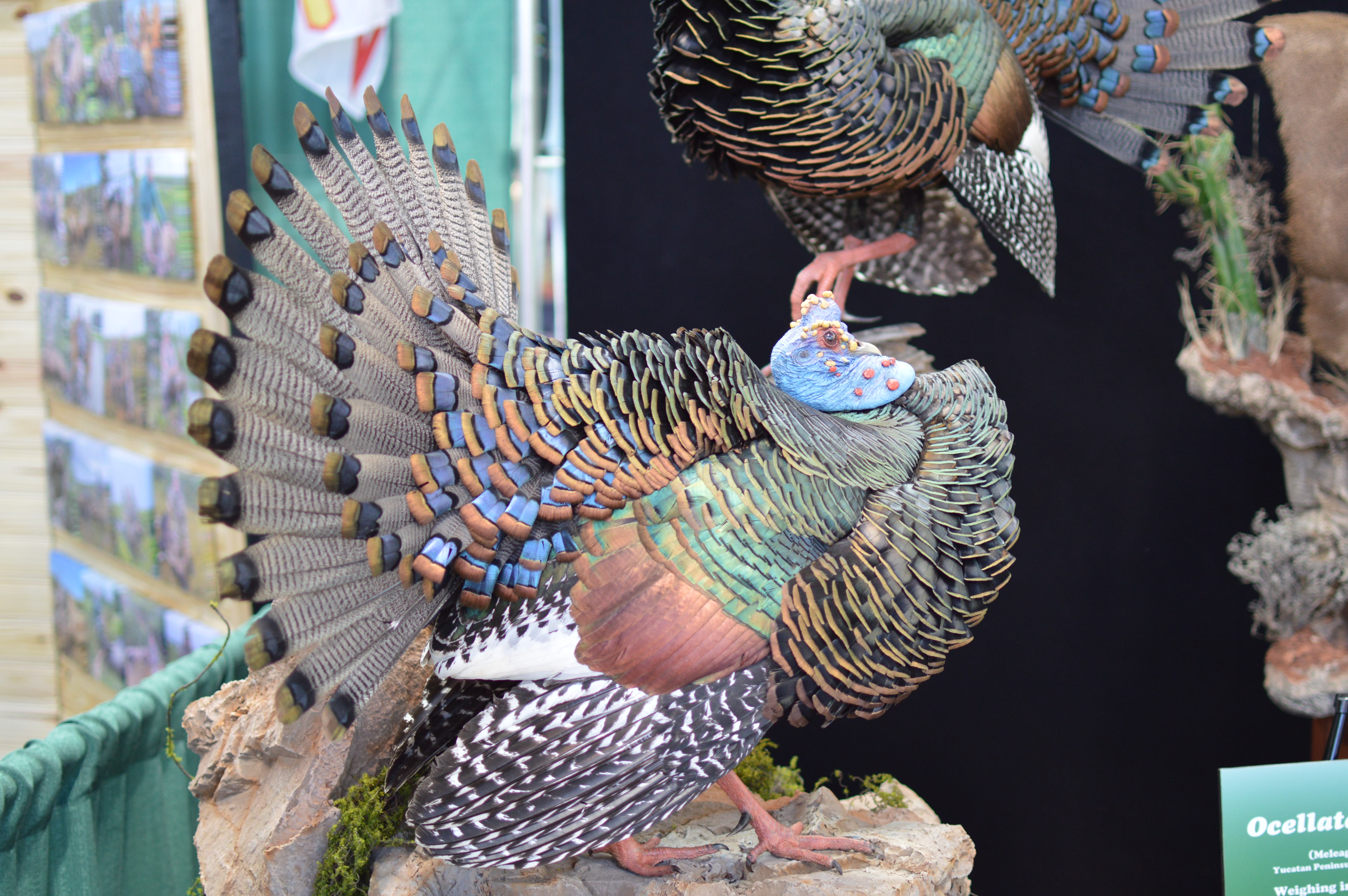 PA Outdoors Show