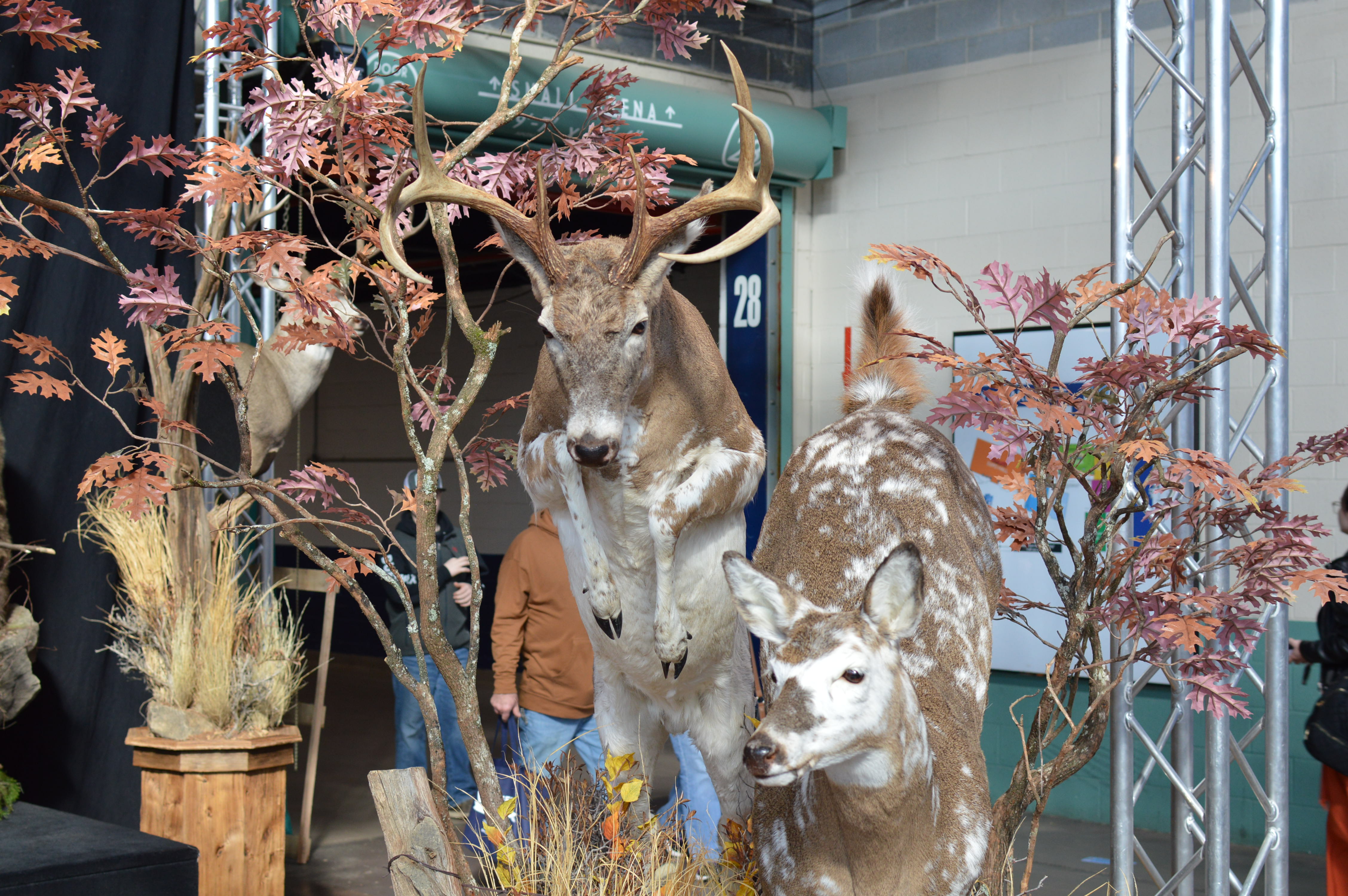 PA Outdoors Show