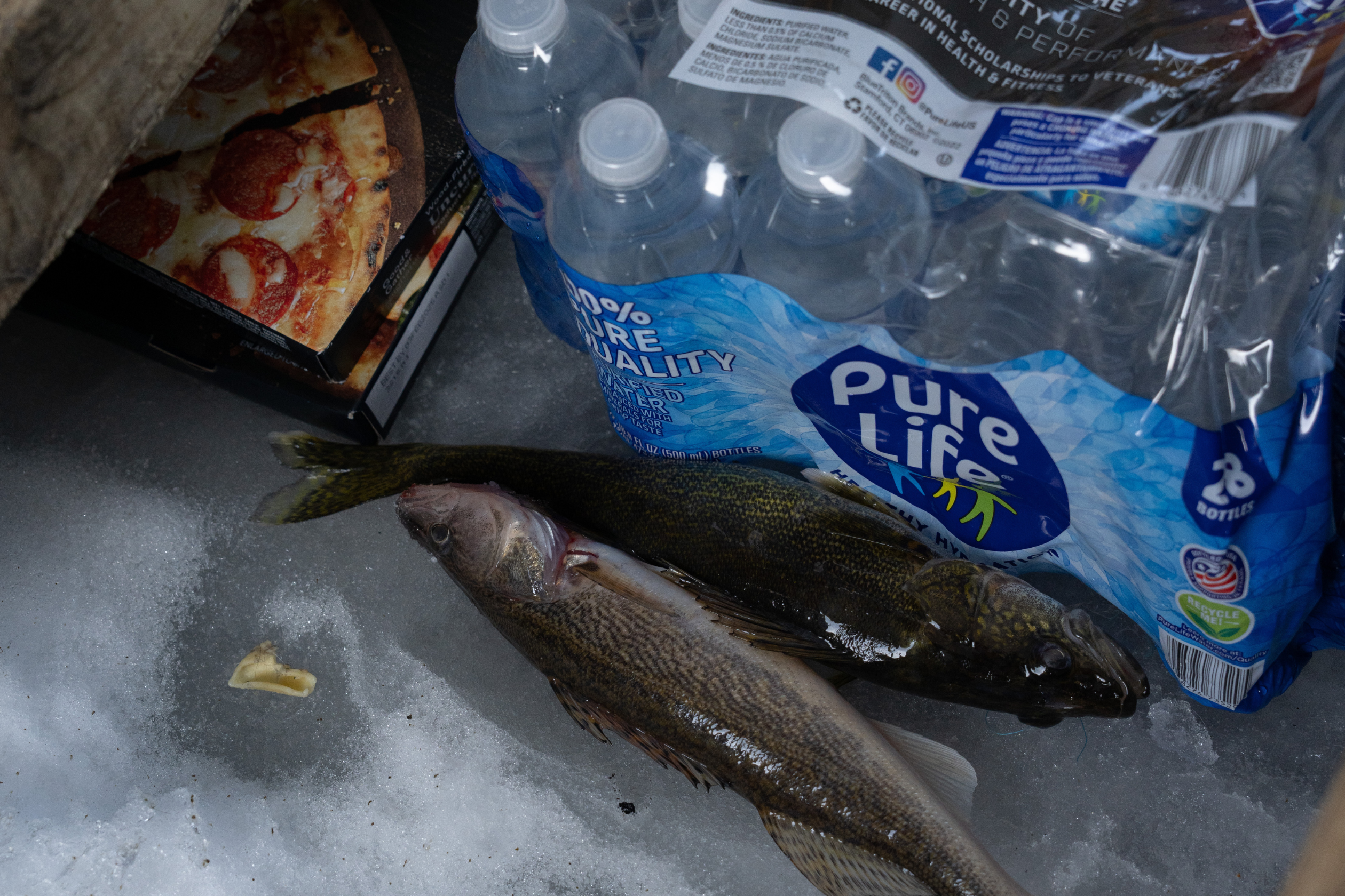 ice fishing madness