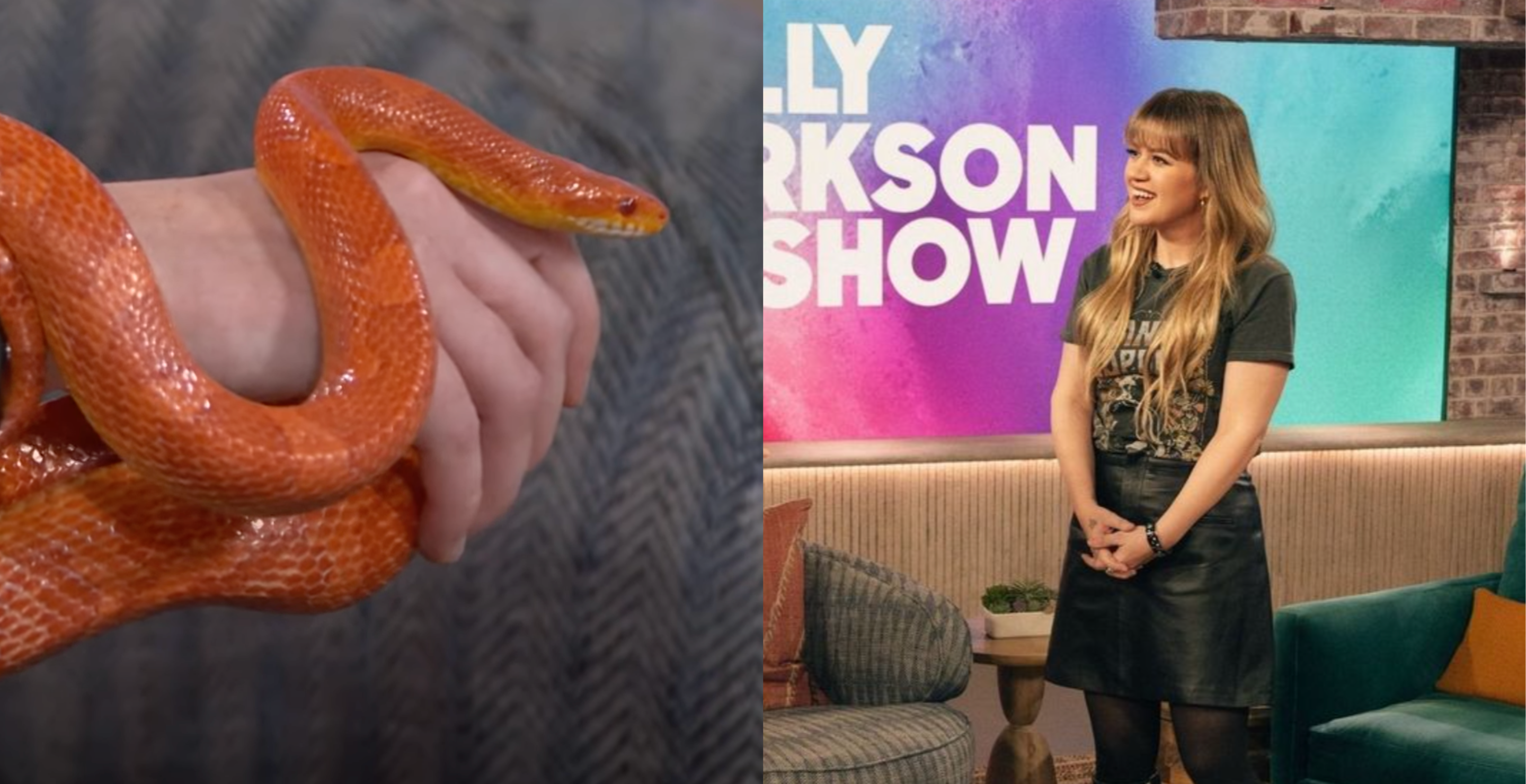 snake lady on kelly clarkson
