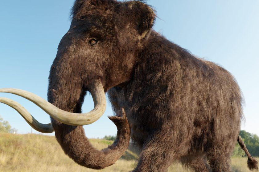 A 3D illustration of a Woolly Mammoth walking across a grassy field.