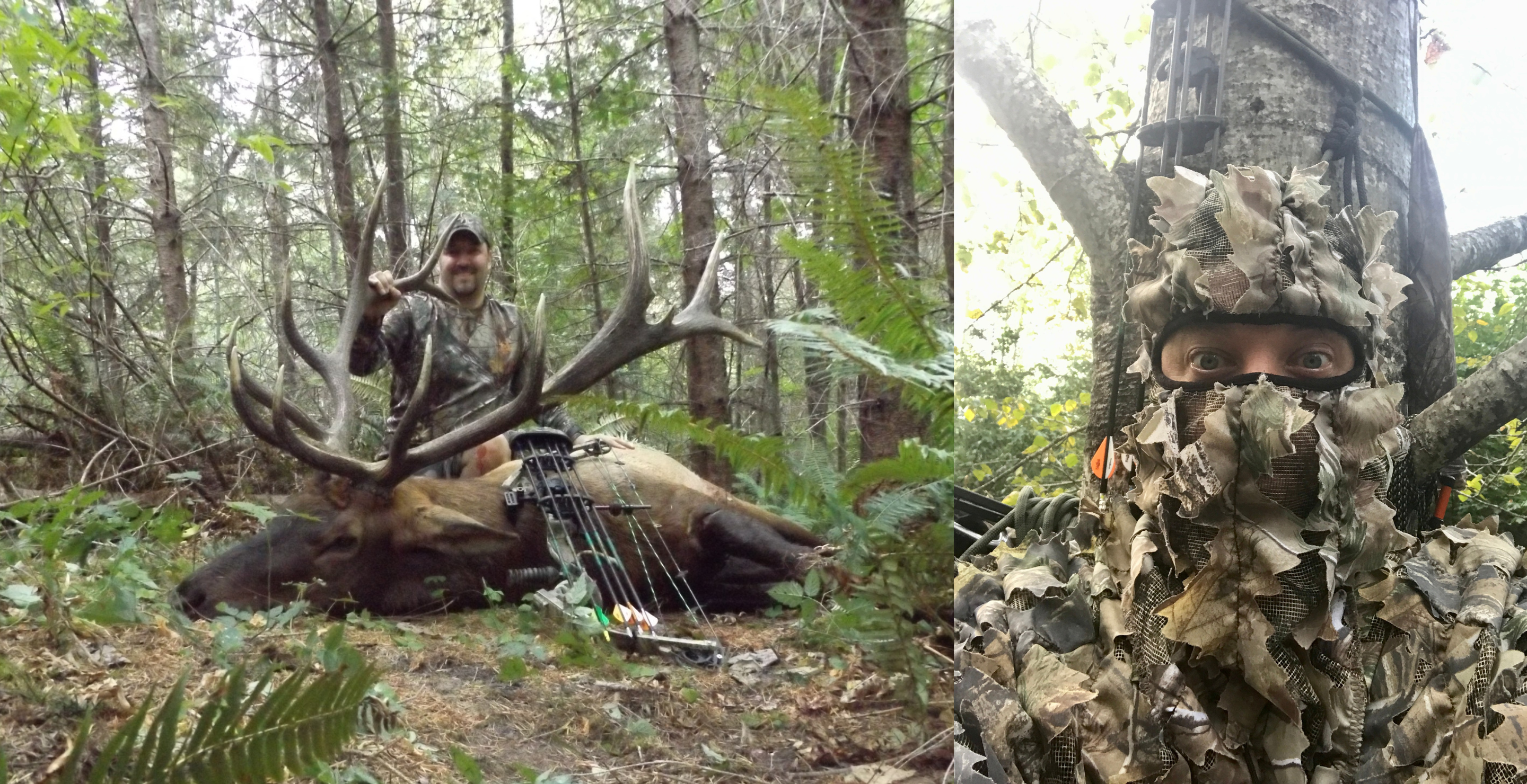 Hunting Lessons always be ready elk