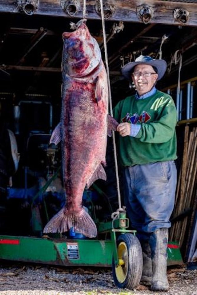 George Chance's catch, a 97-pound bighead carp, beat the world record by 17 pounds.