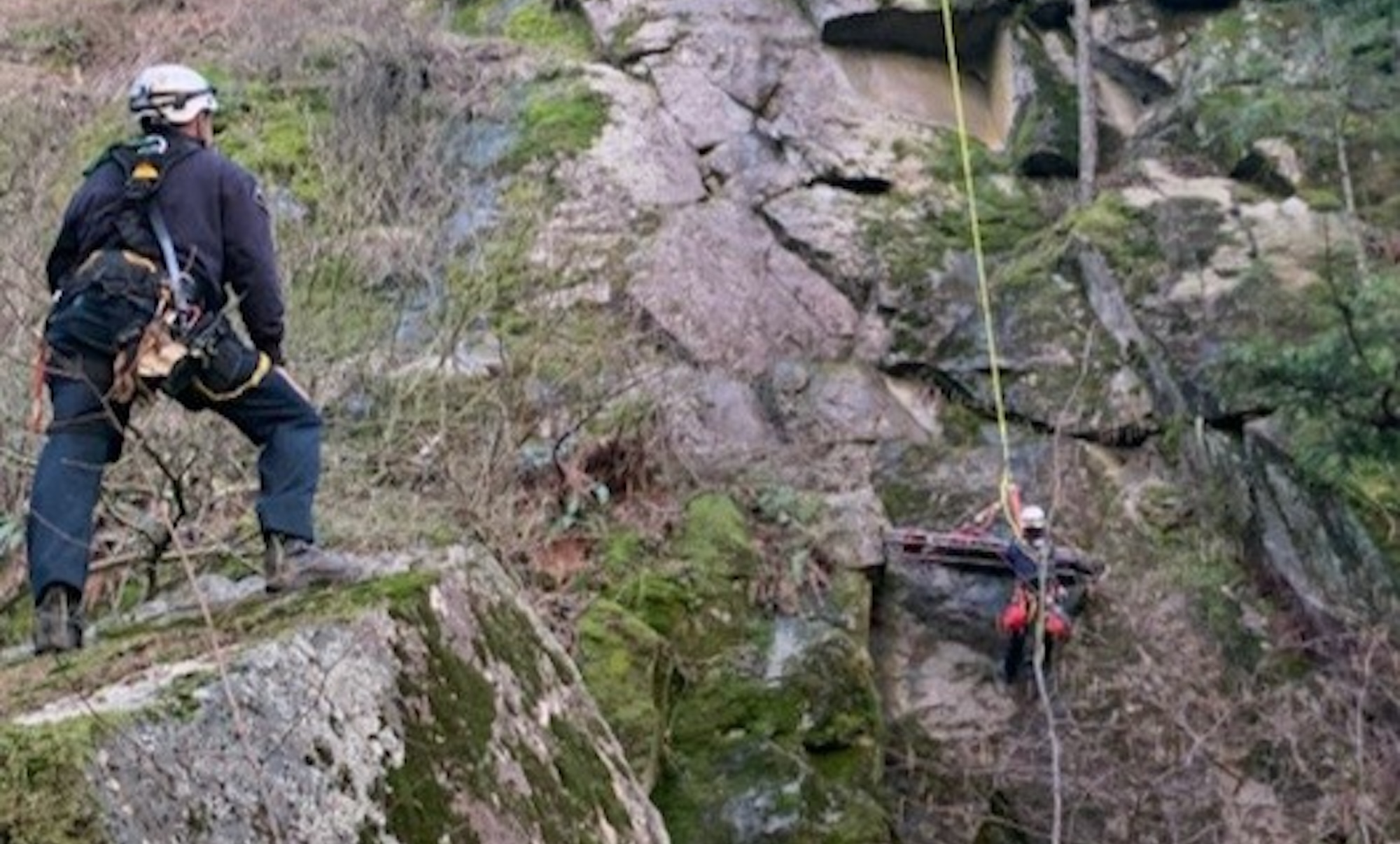washington rescue