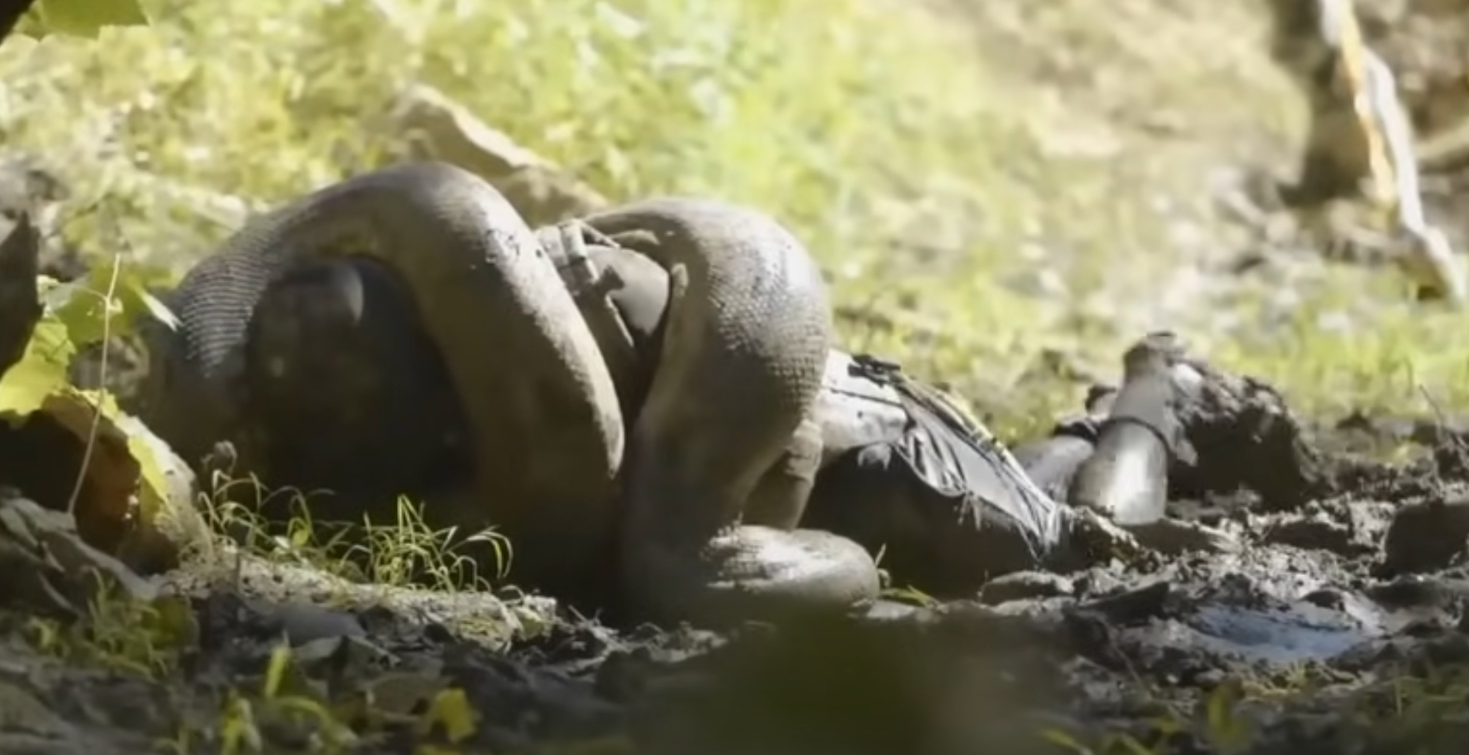 Man Who Tried To Be Eaten By Snake Says His Ribcage Almost Exploded From The Pressure