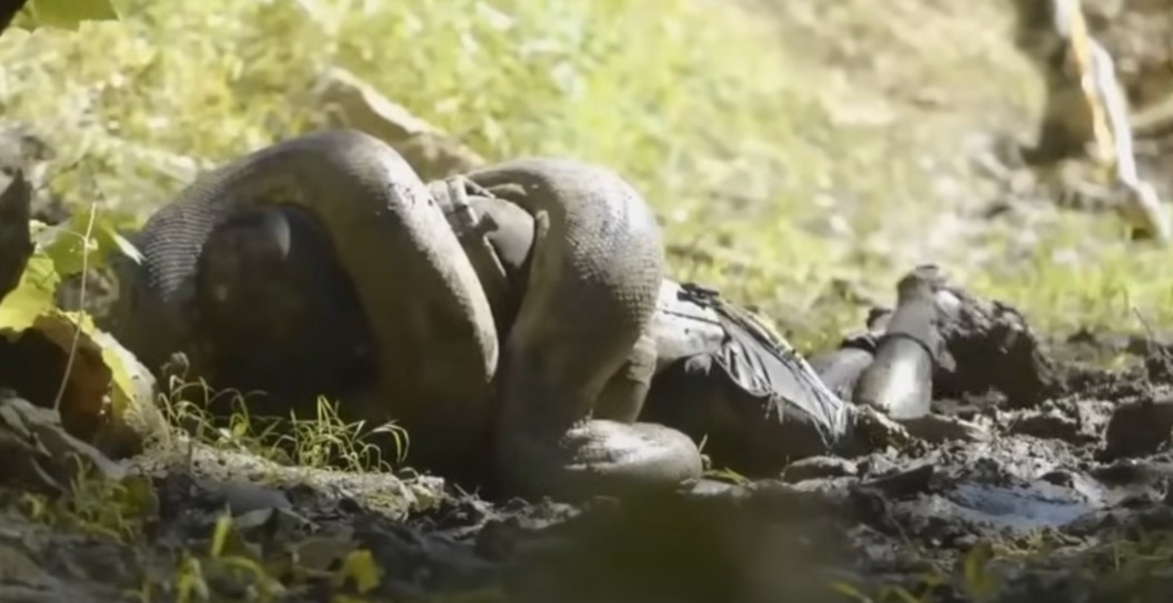 Man Who Tried To Be Eaten By Snake Says His Ribcage Almost Exploded From The Pressure