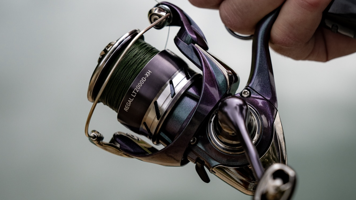 fishing reel