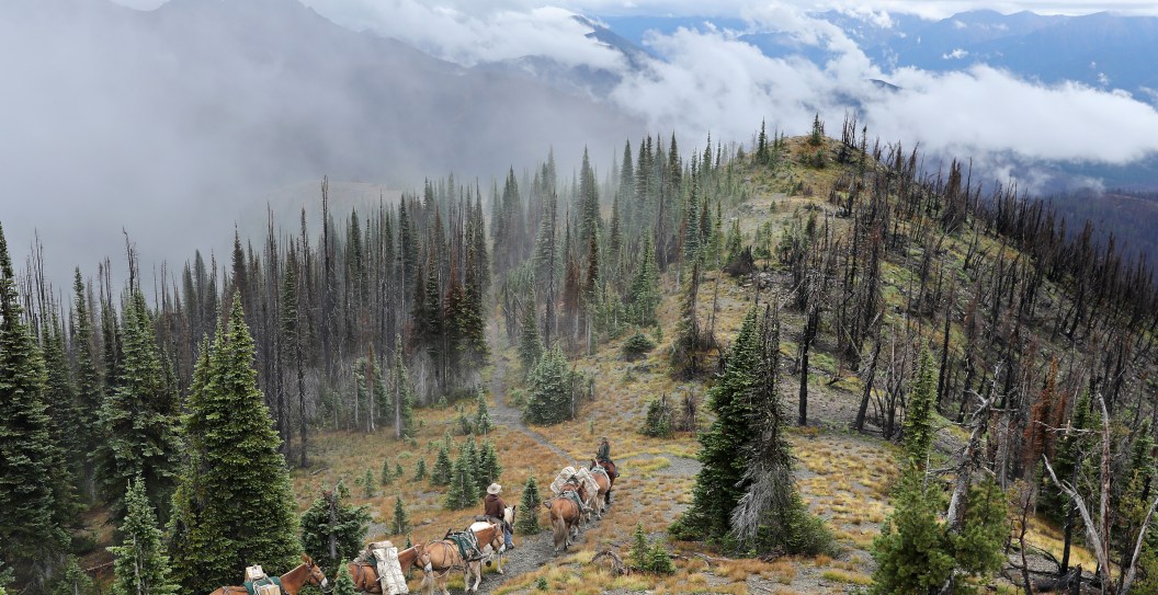 26-Year-Old Hiker Dies After Plunging From Waterfall At Glacier National Park
