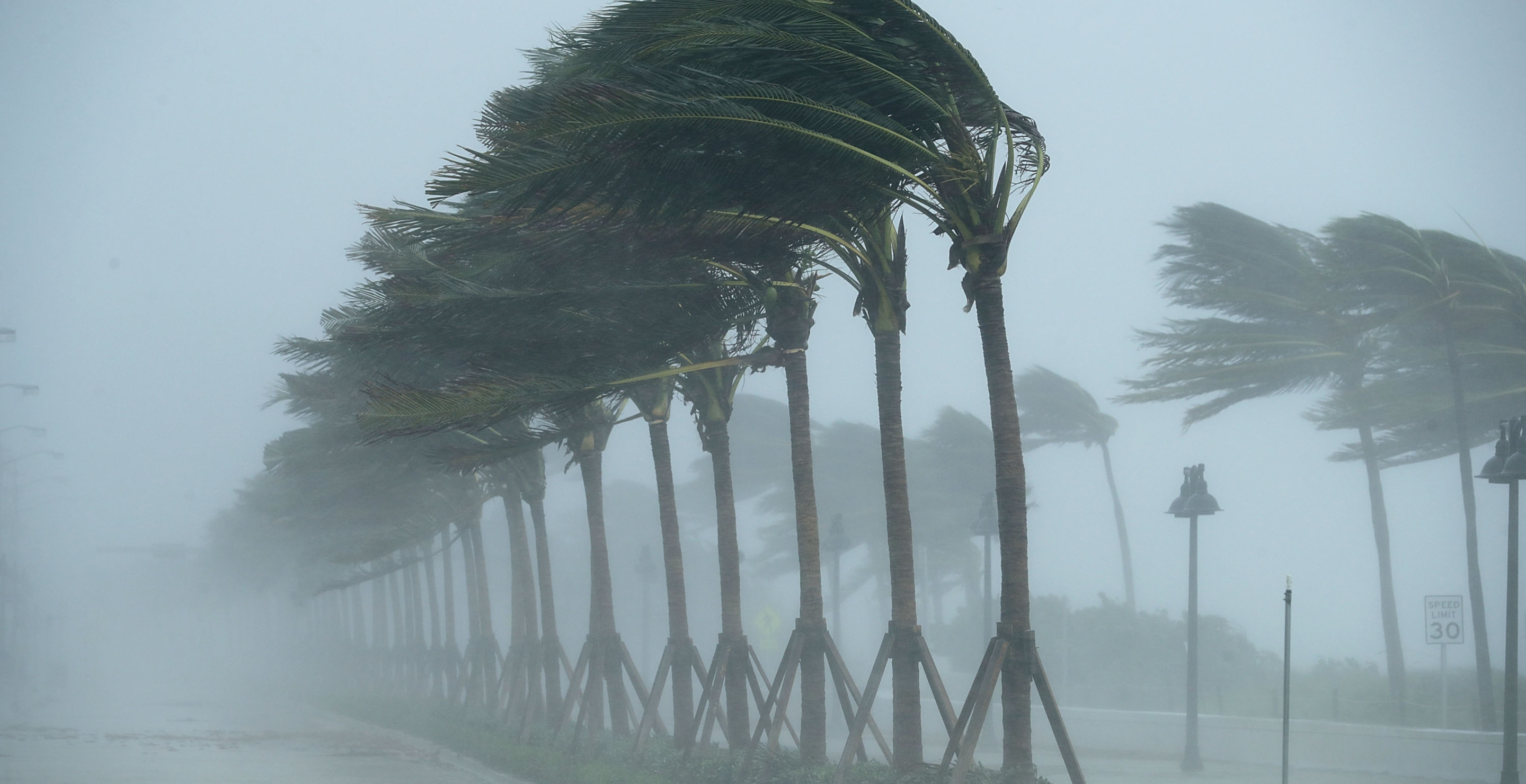 Sleeping 2-Year-Old Killed When Tornado Crashes Tree Through Home