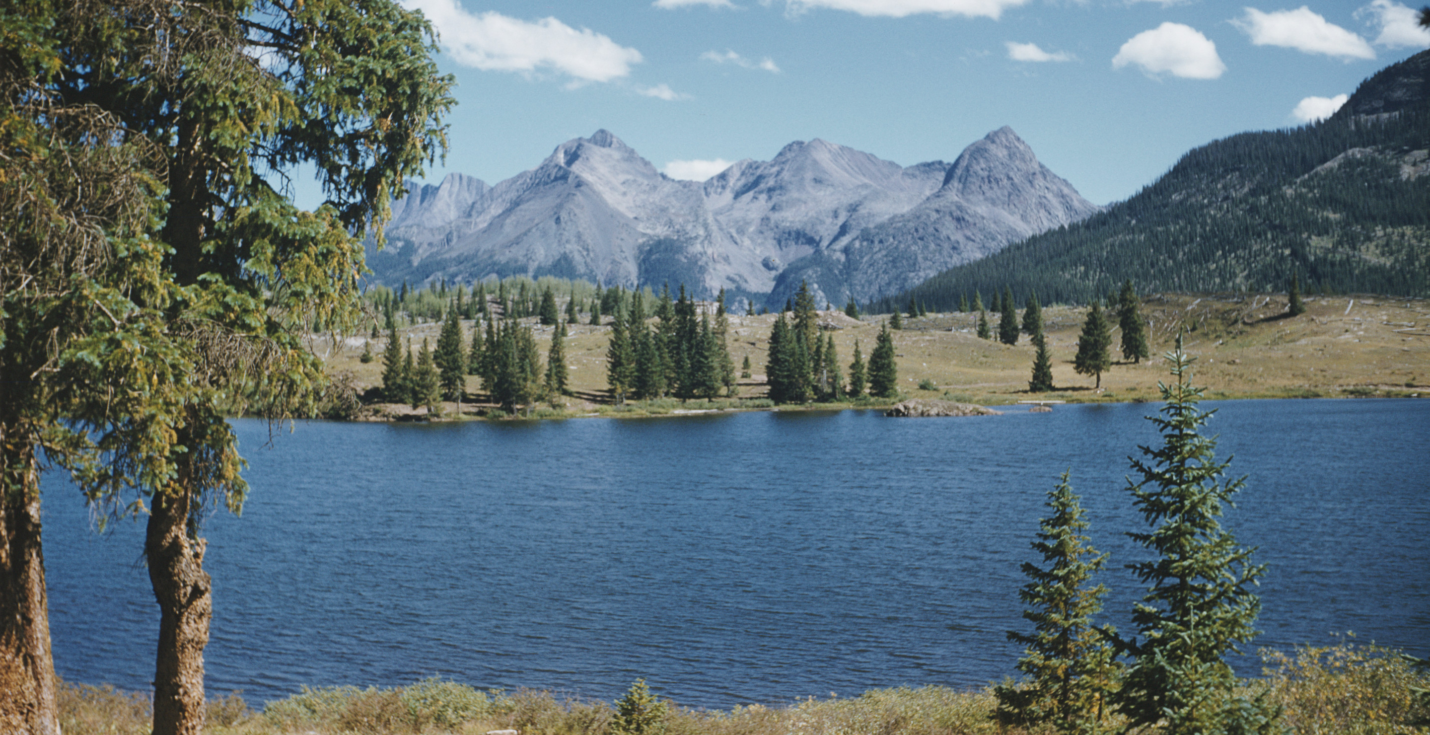 This Virginia Lake Is Linked To An Outbreak Of E. Coli Cases