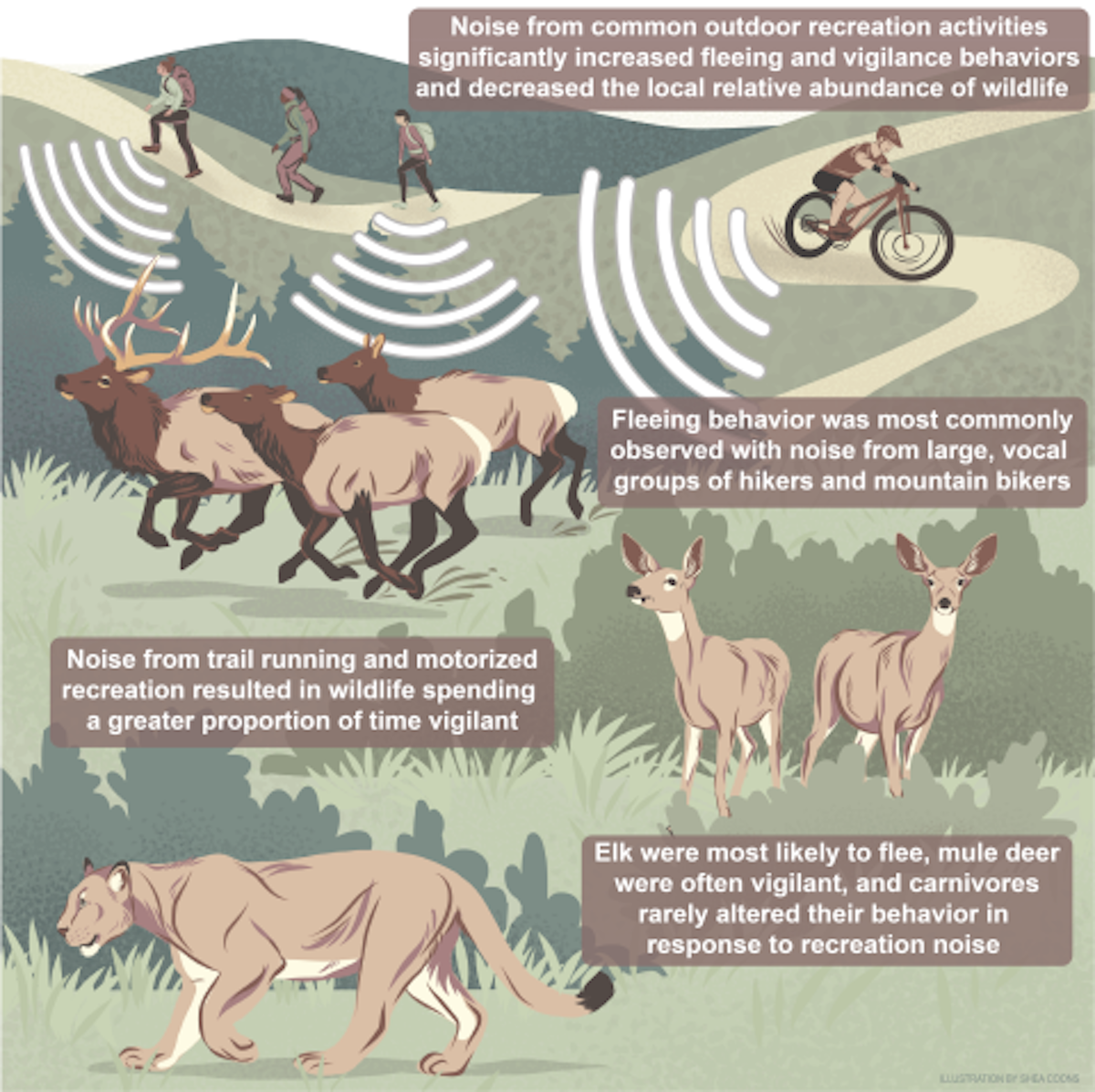 why animals flee