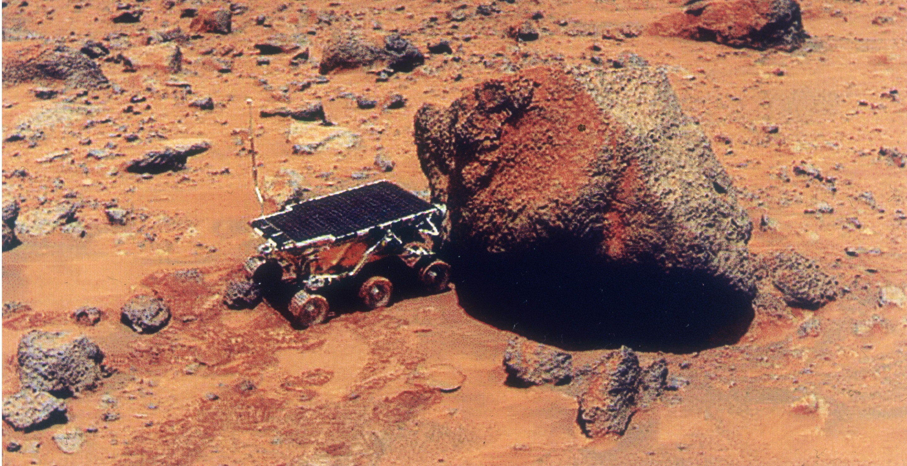 This Desert Moss May Be The Secret To Humans Colonizing Mars