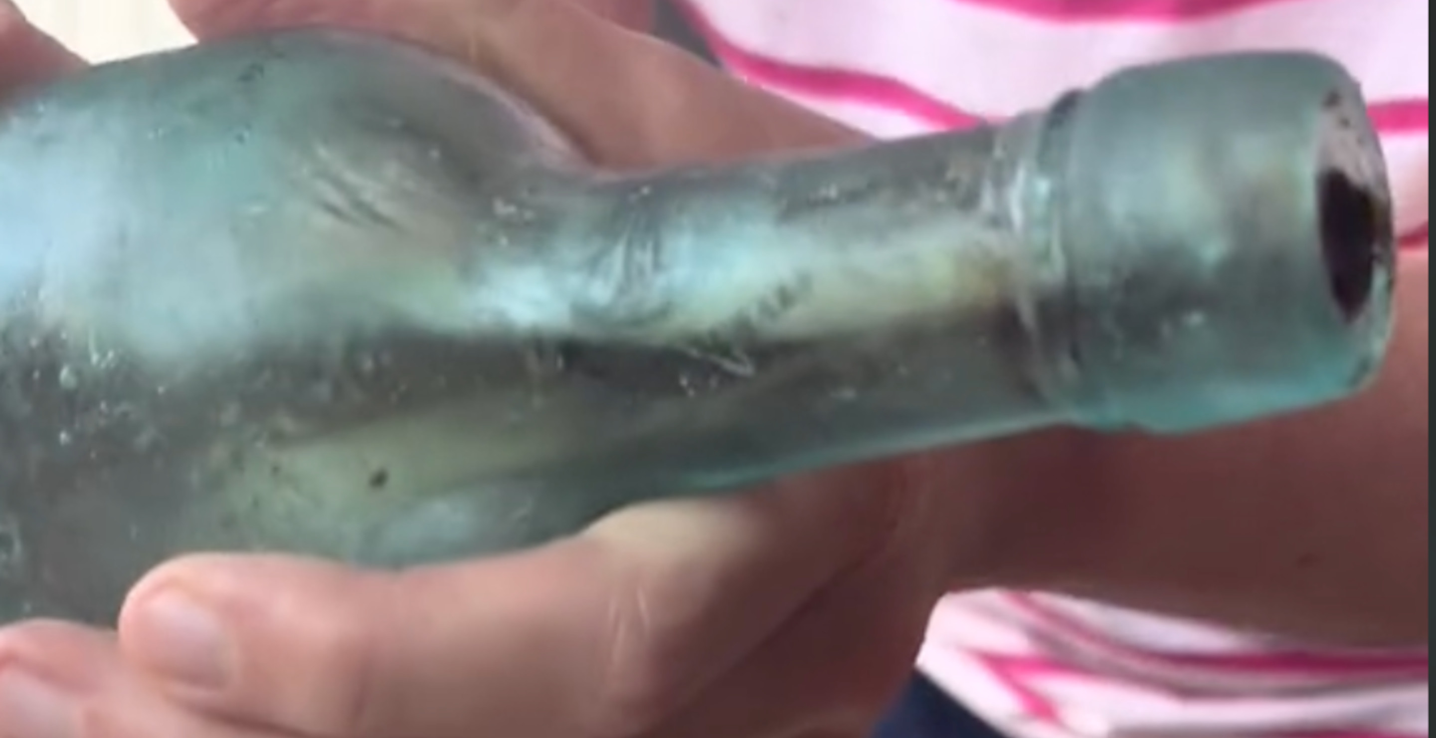 TikToker May Have Stumbled Across The World's Oldest Message In A Bottle