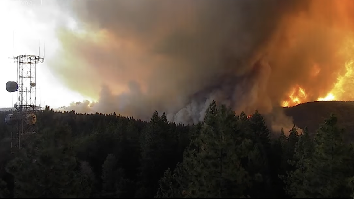 firenado