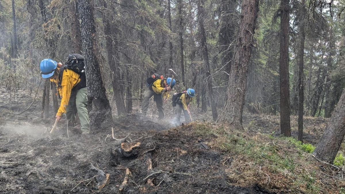 riley fire
