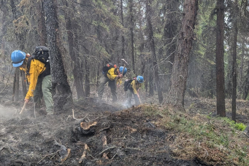 riley fire