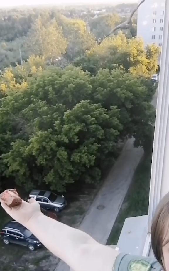Woman feeds bird of prey