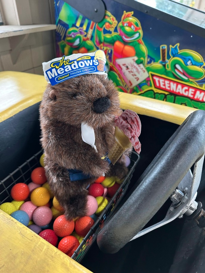 Stuffed groundhog
