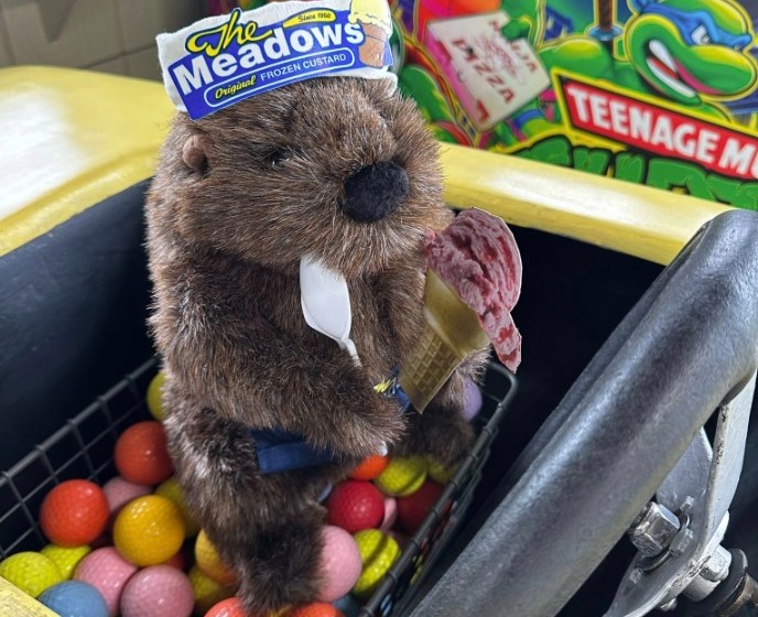Stuffed groundhog