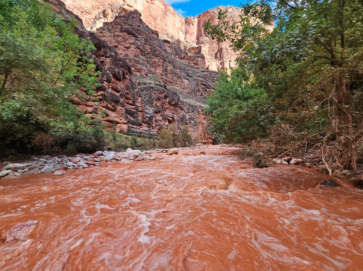 body of missing hiker found in grand canyon