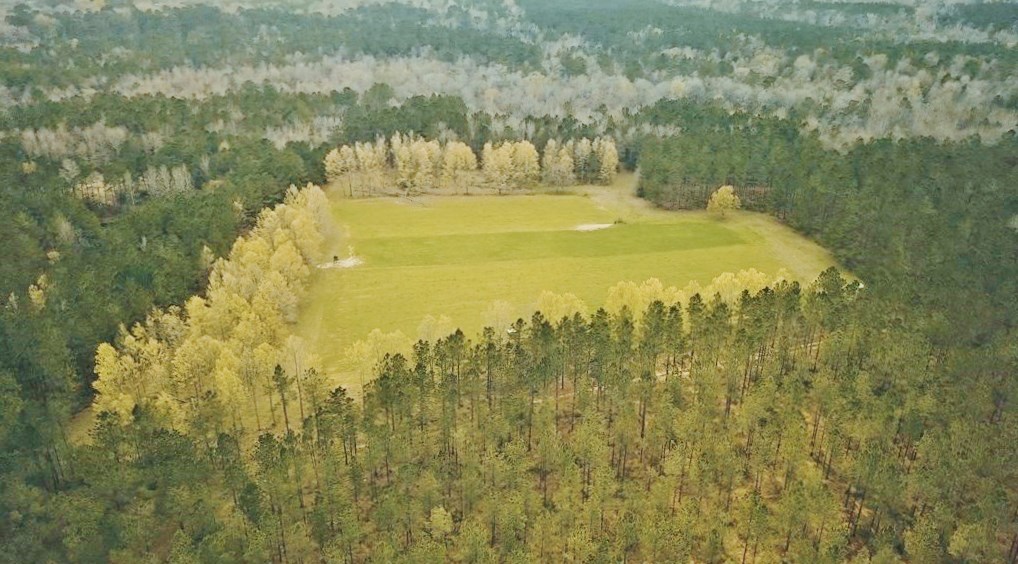trison farms