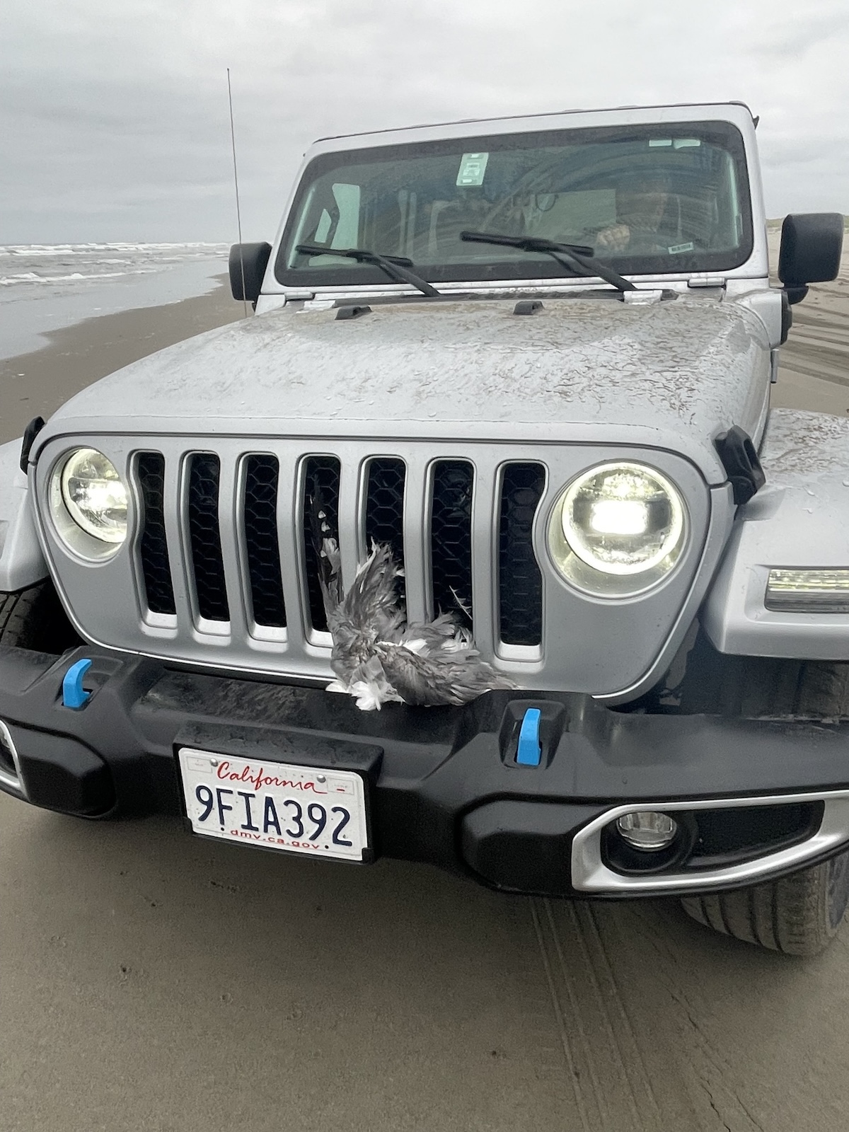 jeep