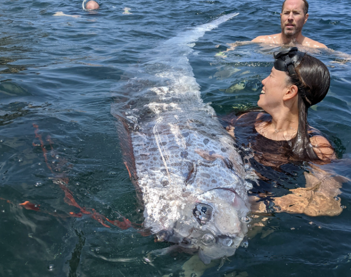 rare fish California