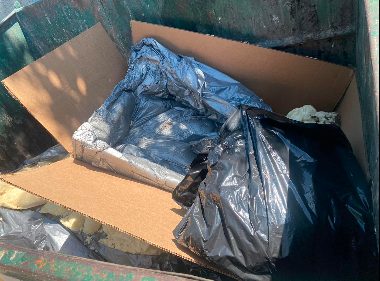 California dumpster where German puppies were rescued