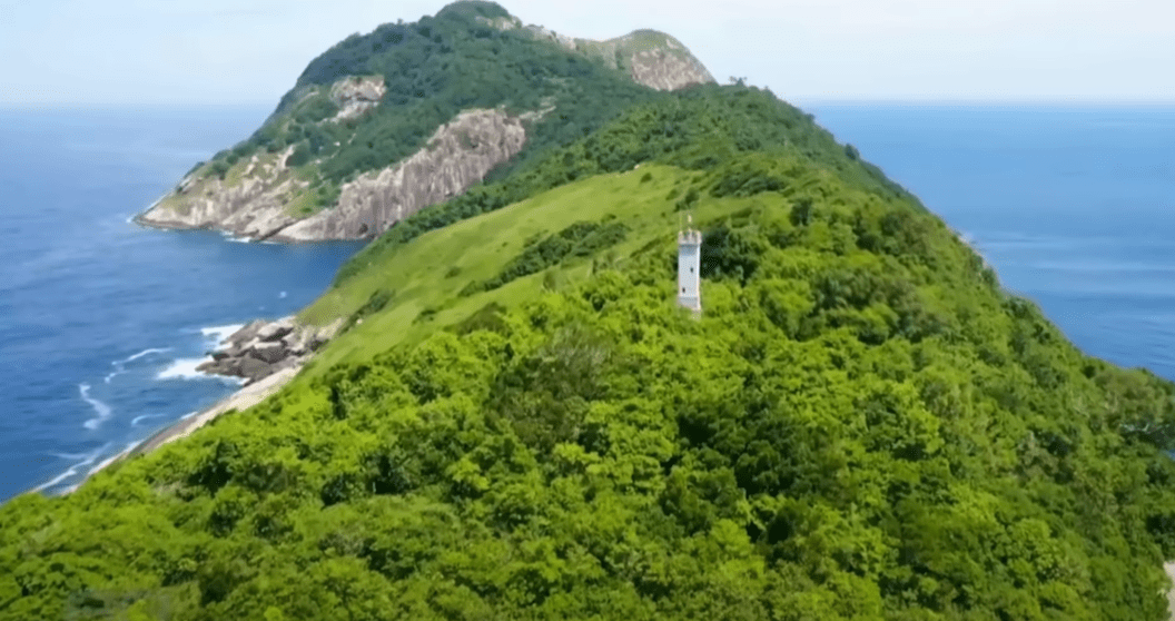 Snake Island