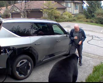 unexpected encounter with black bear
