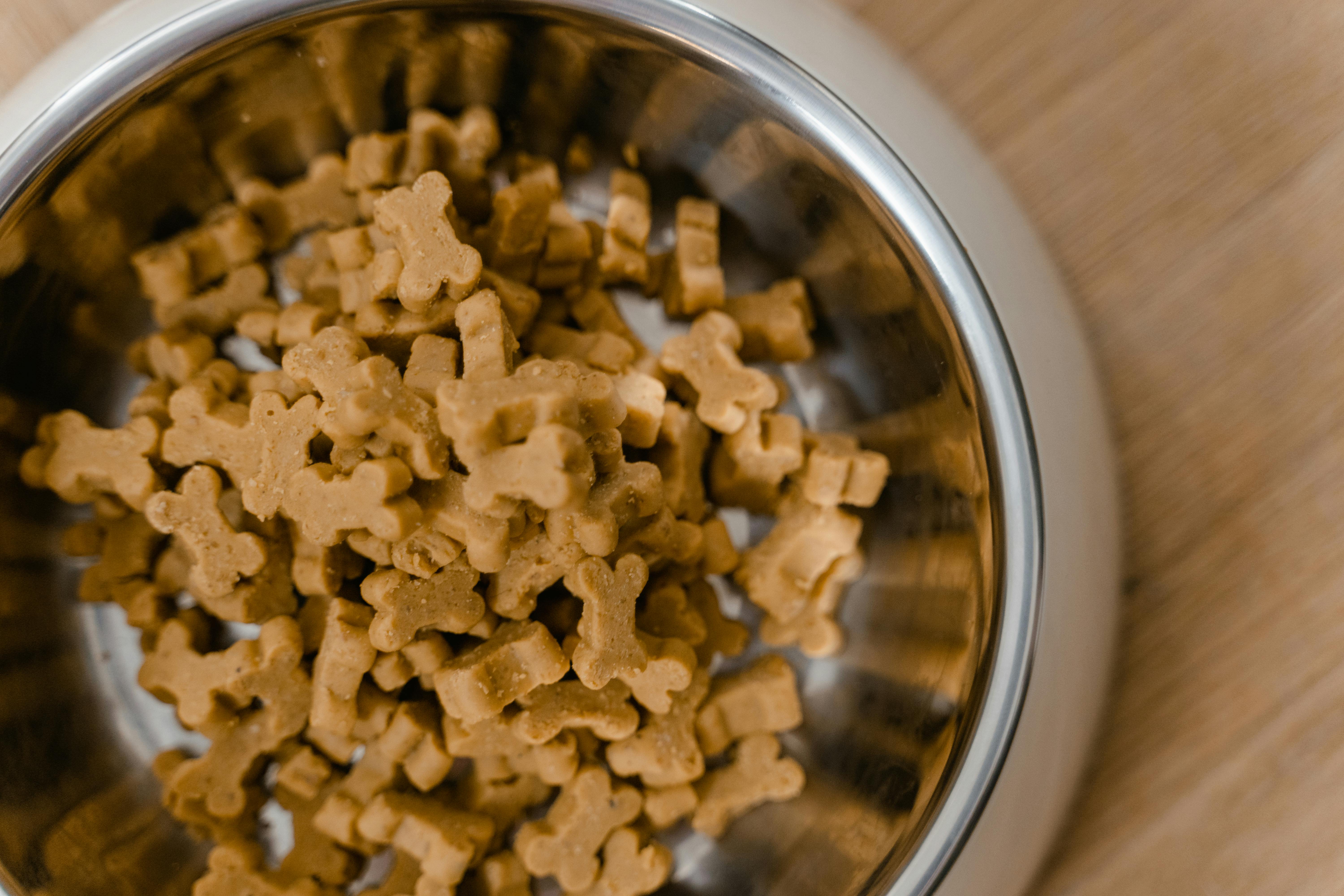 watch portion size for picky dogs