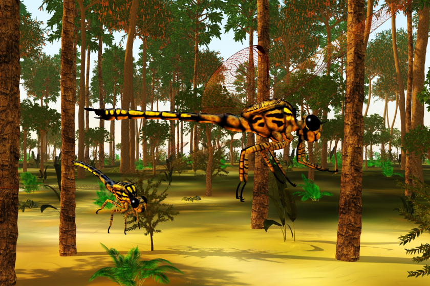 Carboniferous Period