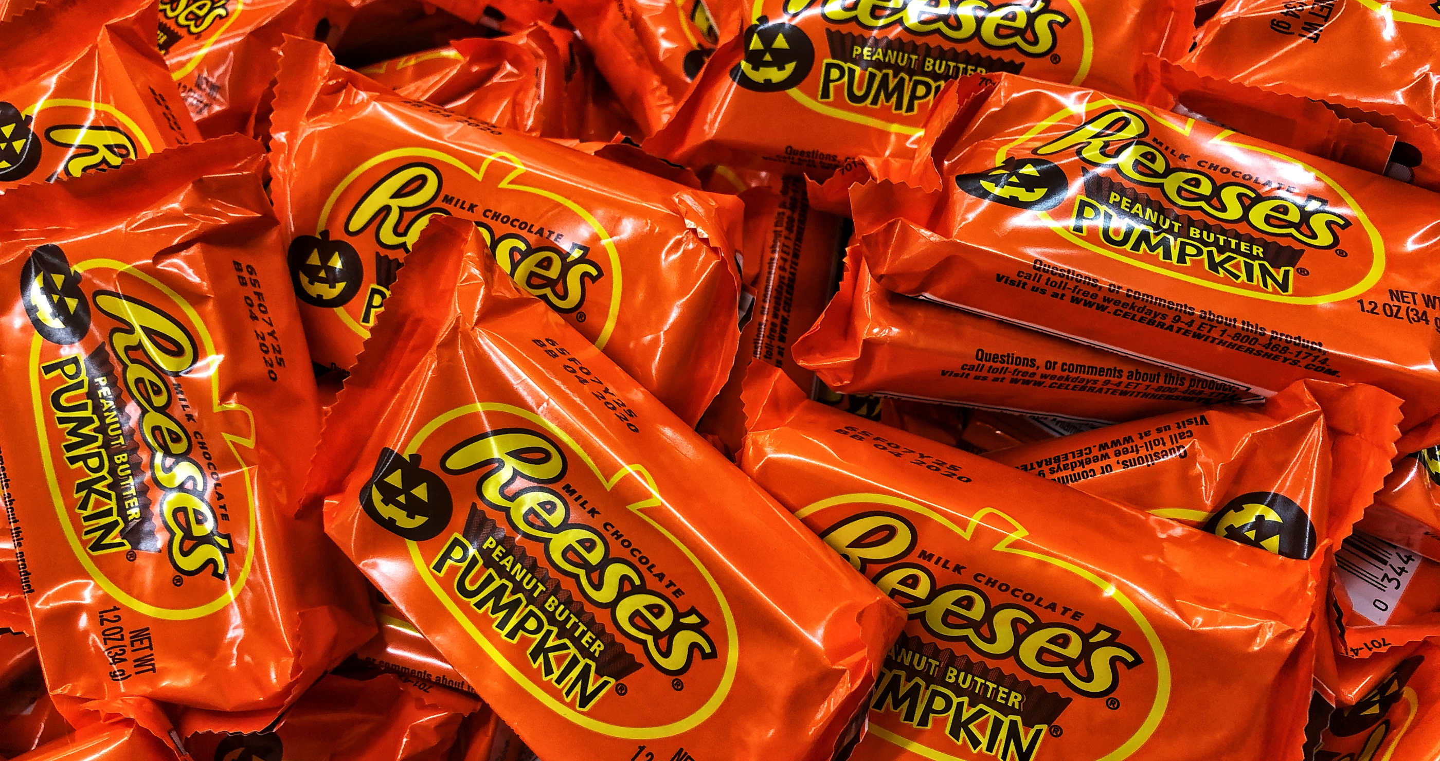 Danger of Halloween candy for dogs