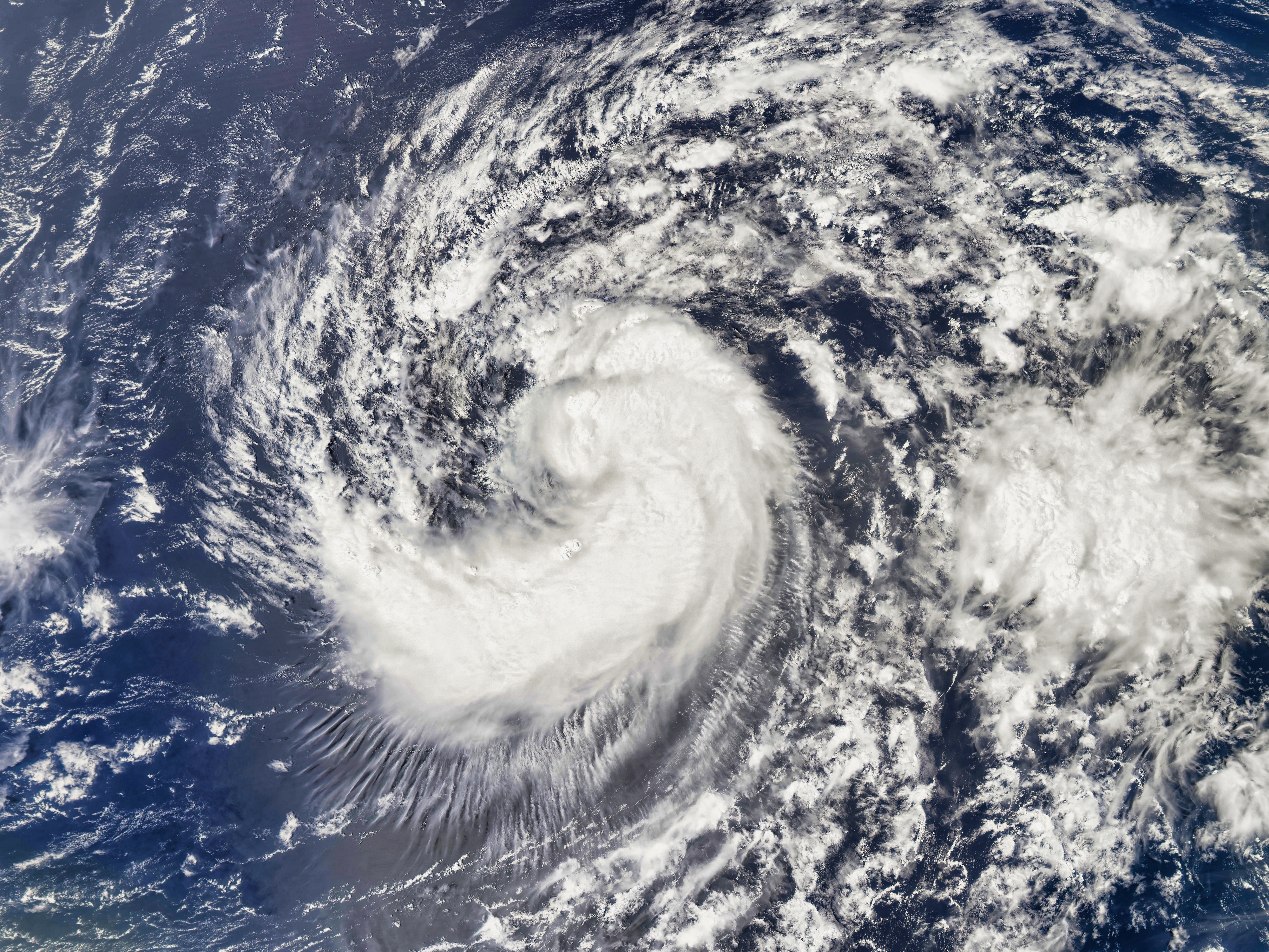 Hurricane Helene increases bee stings