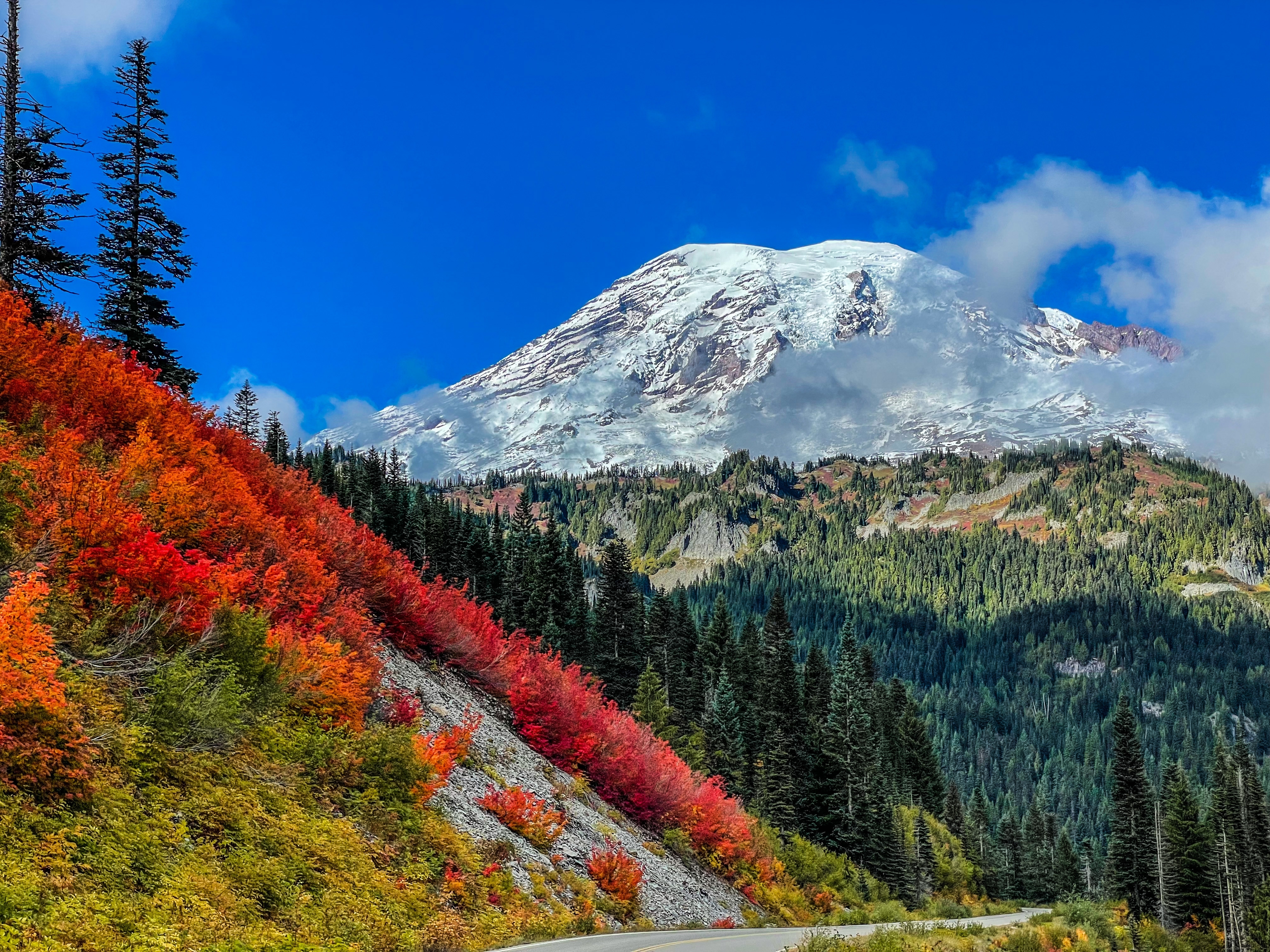 Mount Rainier National Park best parks for fall 