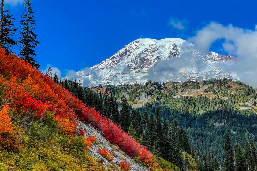 Mount Rainier National Park best parks for fall