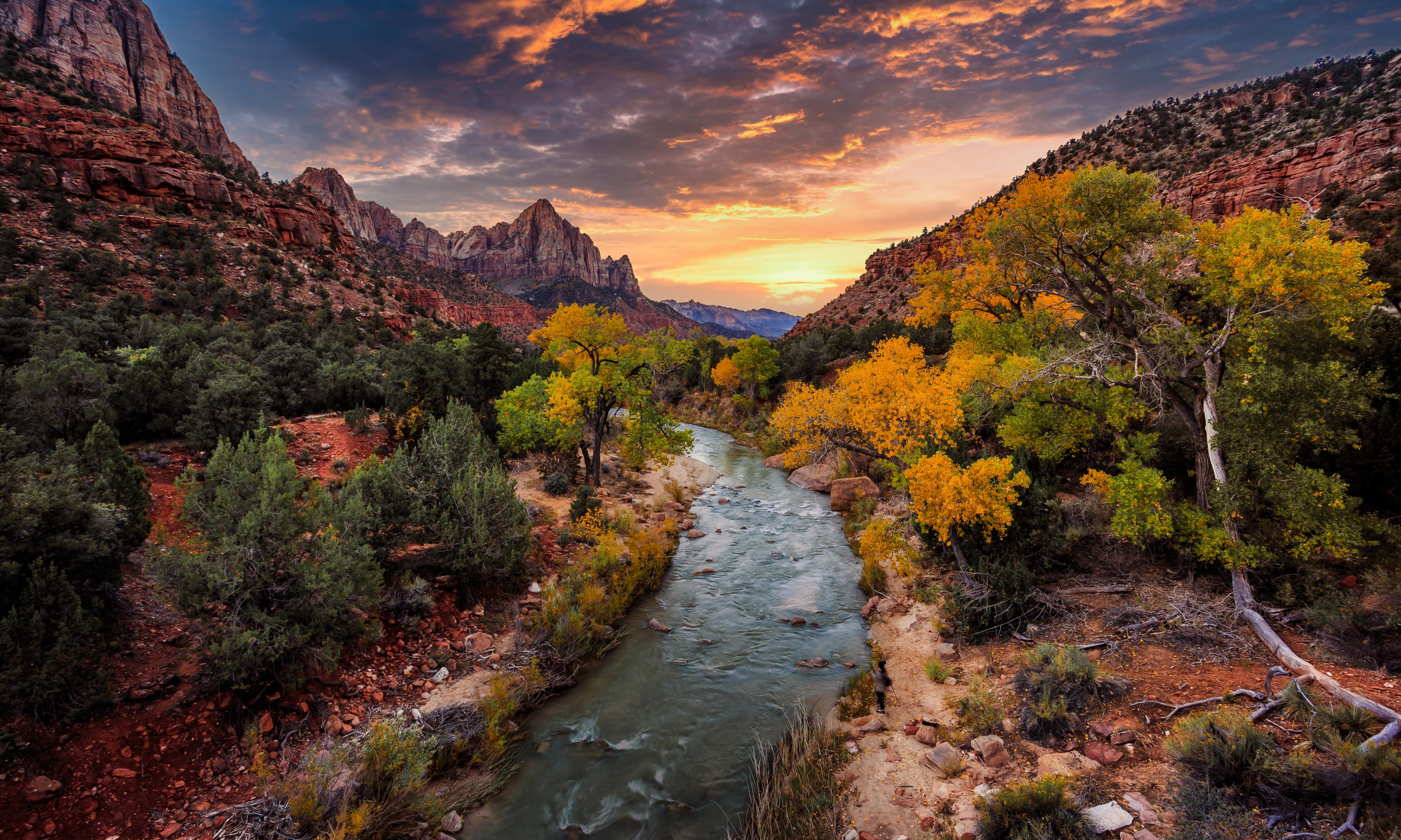 Zion National Park Best Parks to see Fall Colors