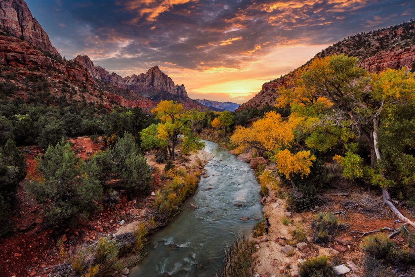 Zion National Park Best Parks to see Fall Colors