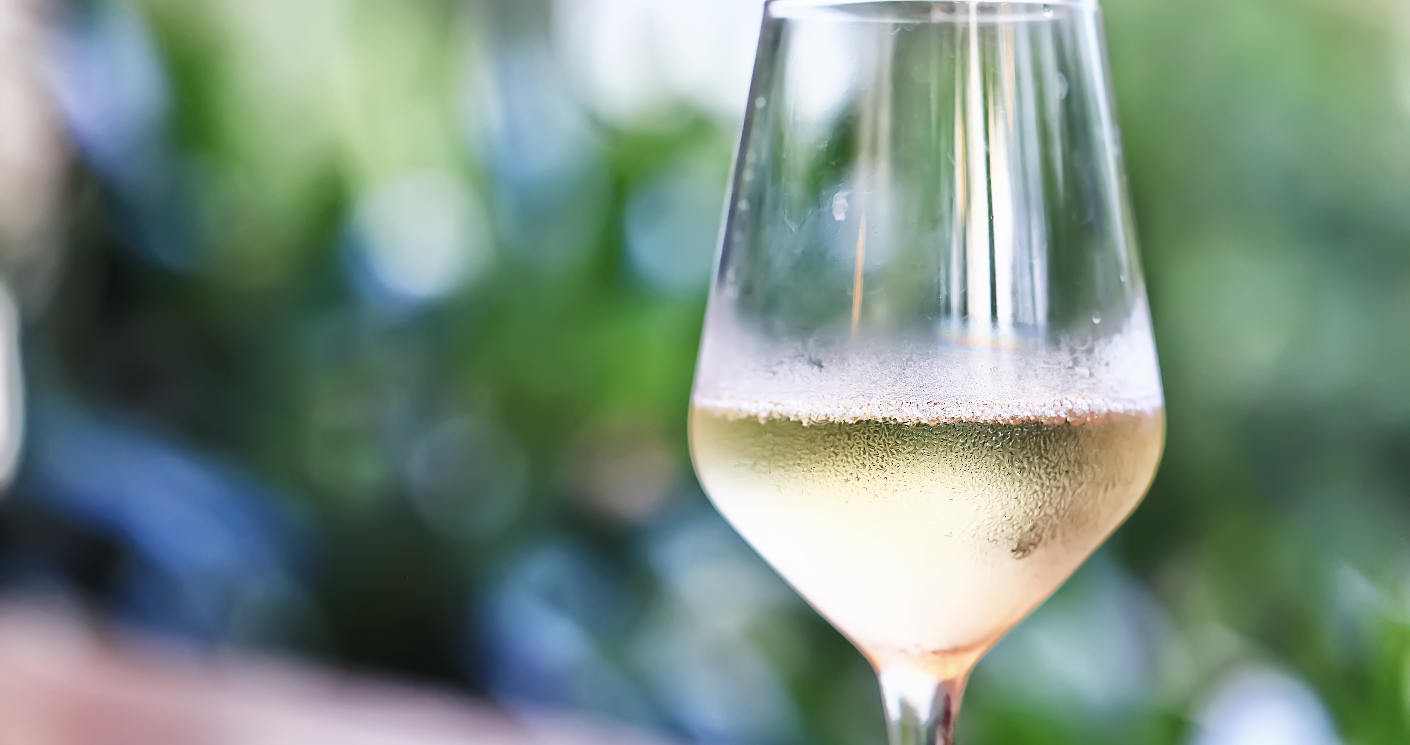 black bear enjoys a glass of white wine