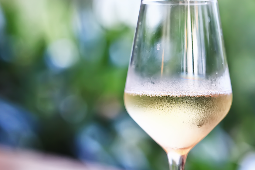 black bear enjoys a glass of white wine