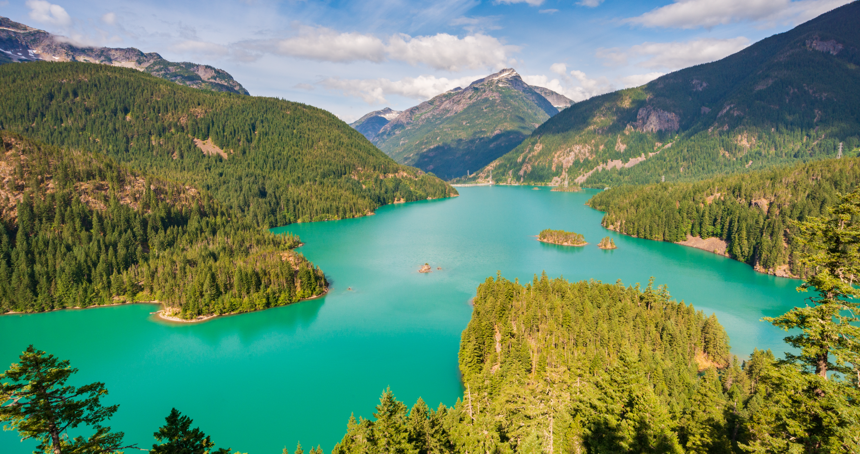 man survived wilderness for a month