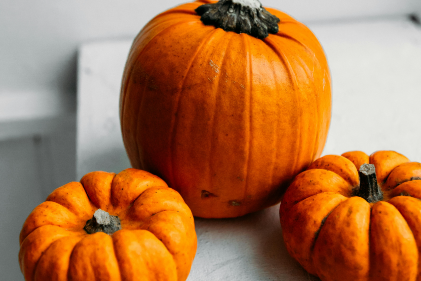picking the perfect pumpkin (1)