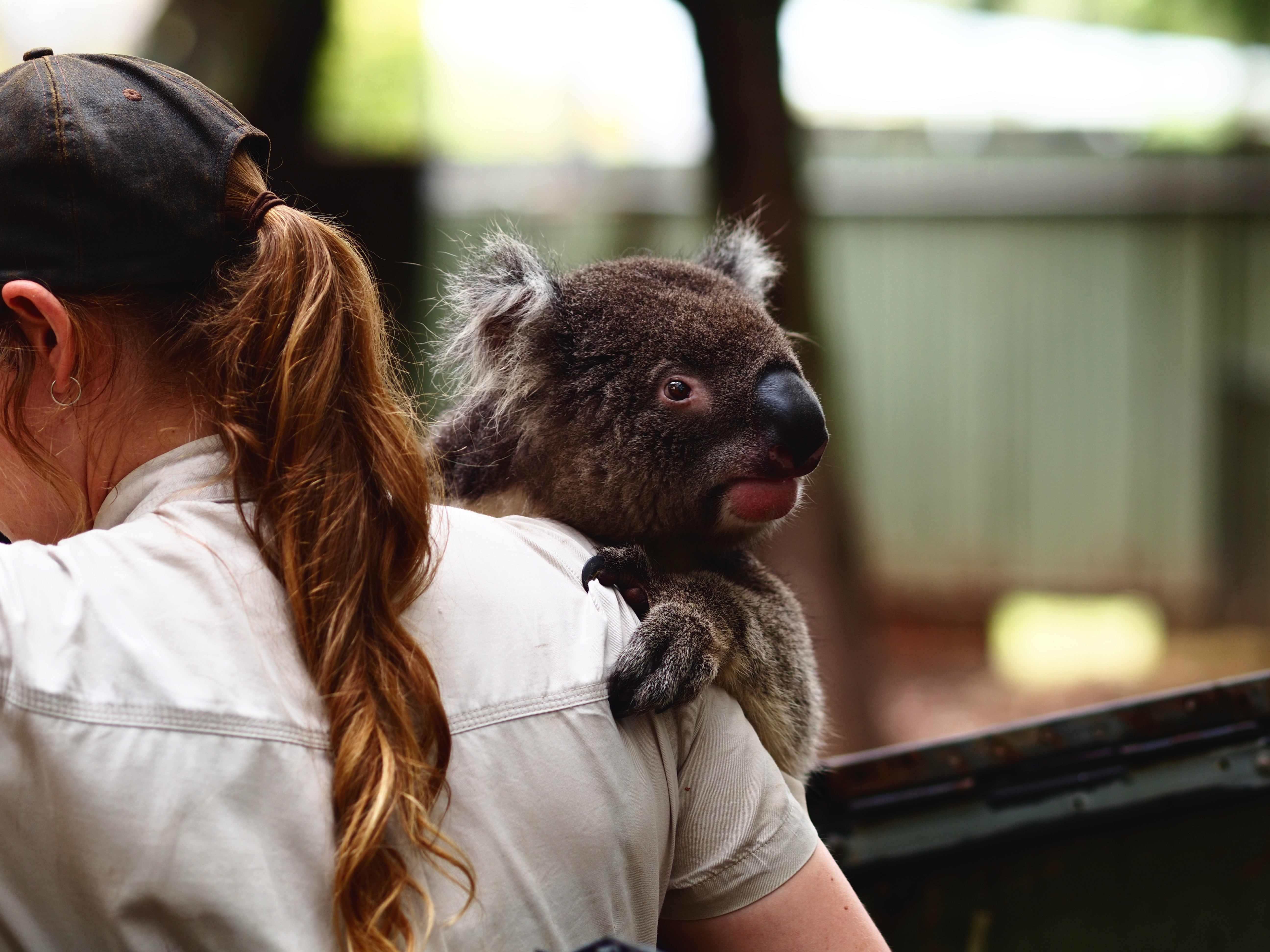 zookeepers tell all about the worst zoo in the world 