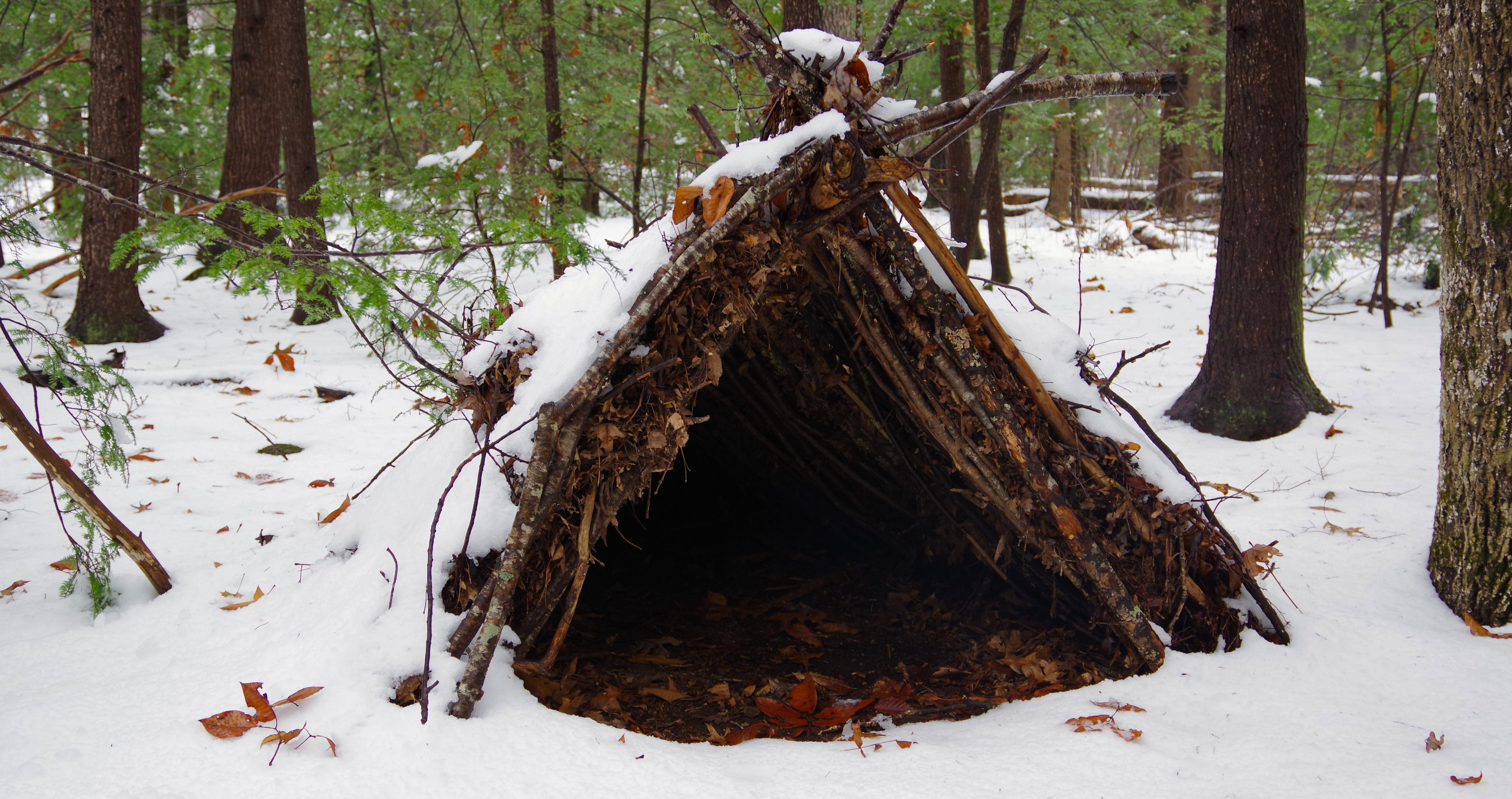 A-frame shelter