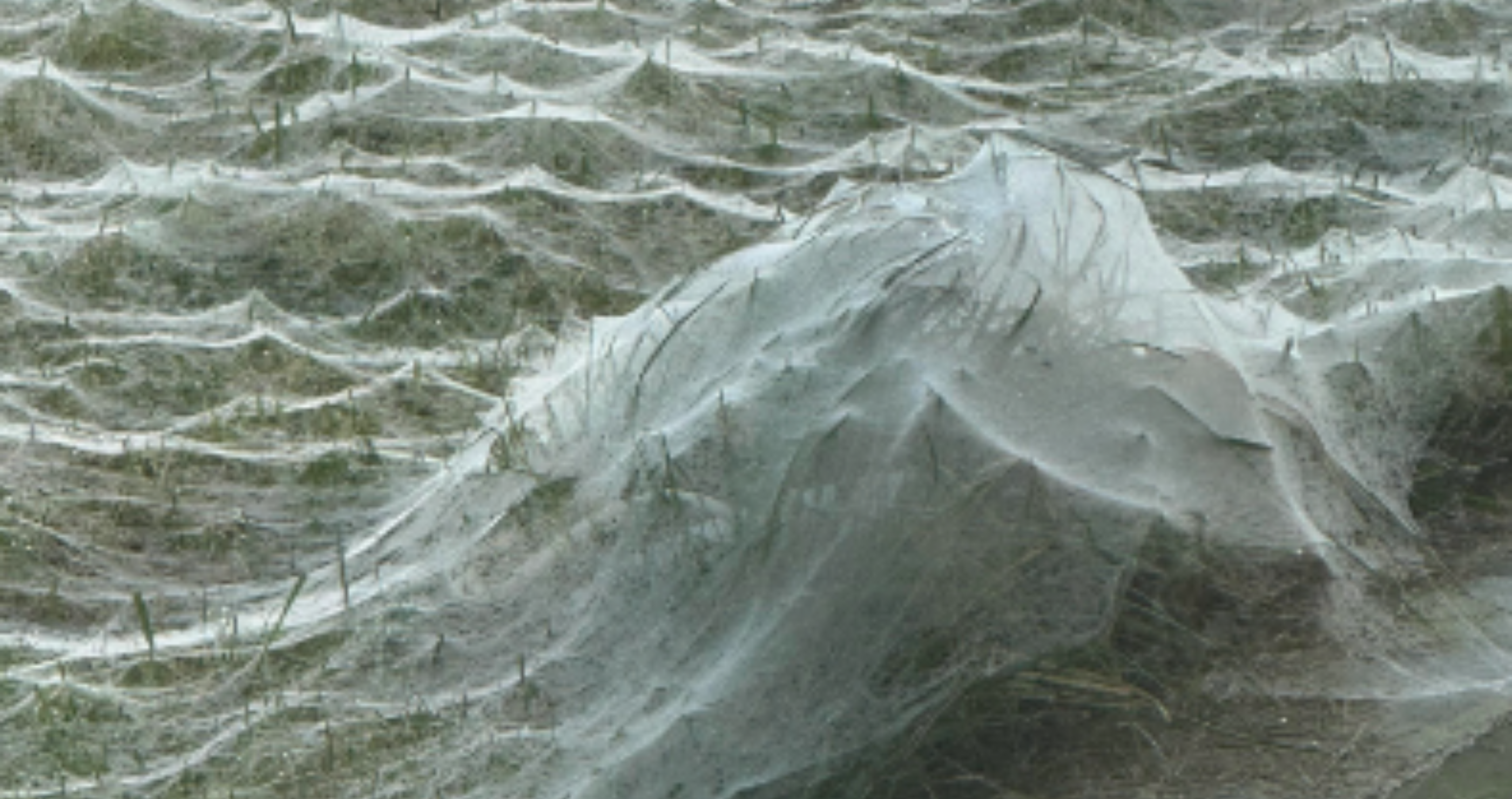 Close up of Spider web left on mans yard on Halloween