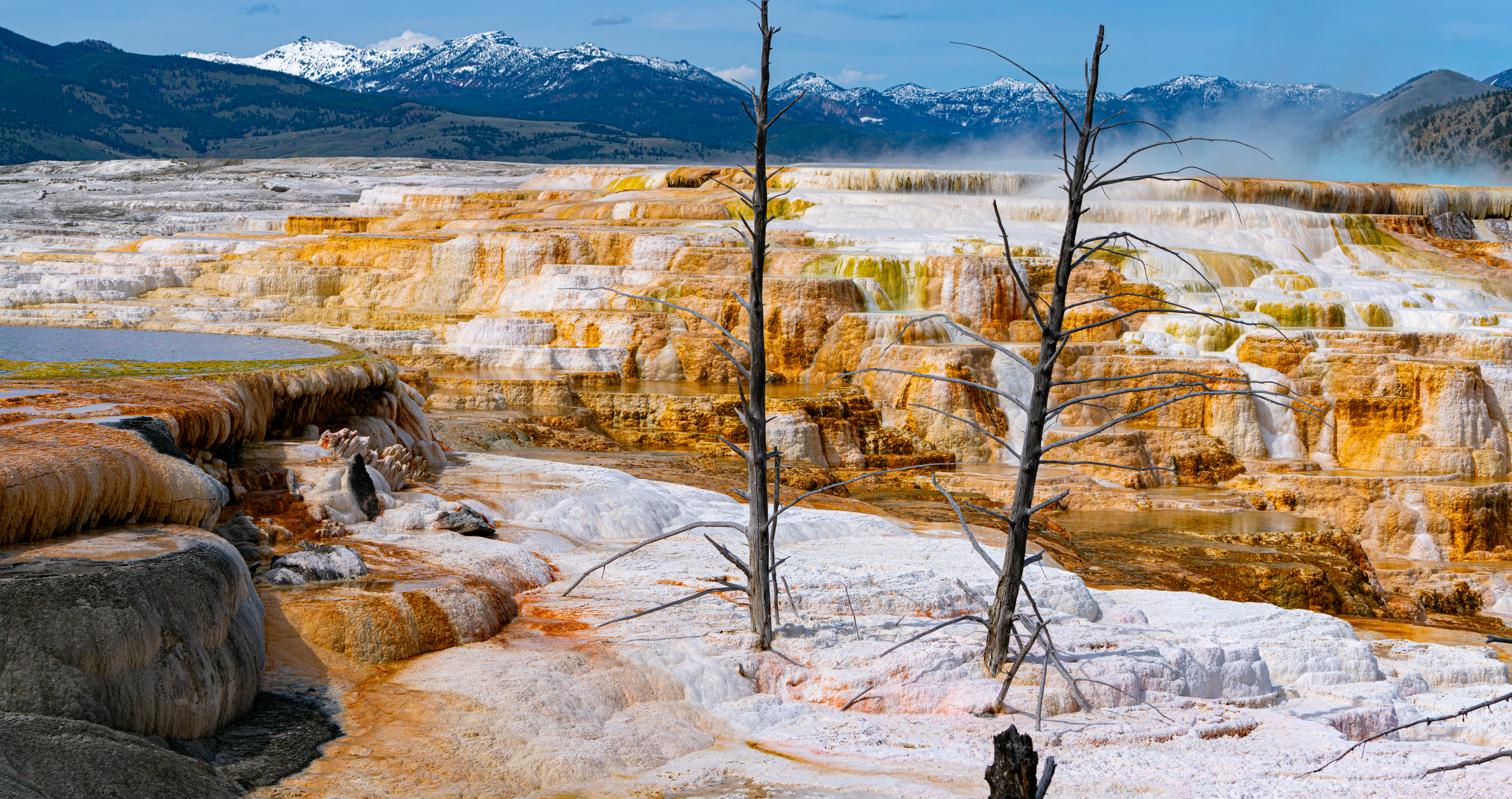 Man gets banned from Yellowstone Canary Spring in Mammoth Hot Springs.