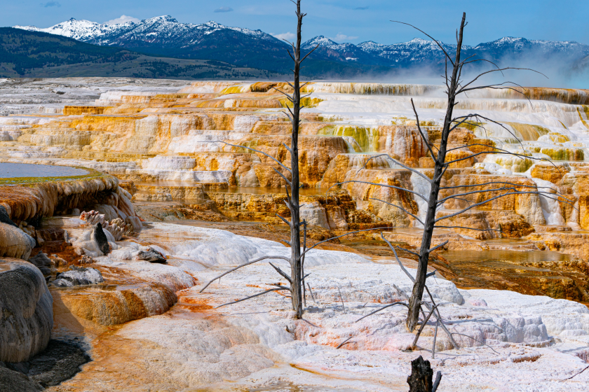 Man gets banned from Yellowstone Canary Spring in Mammoth Hot Springs.