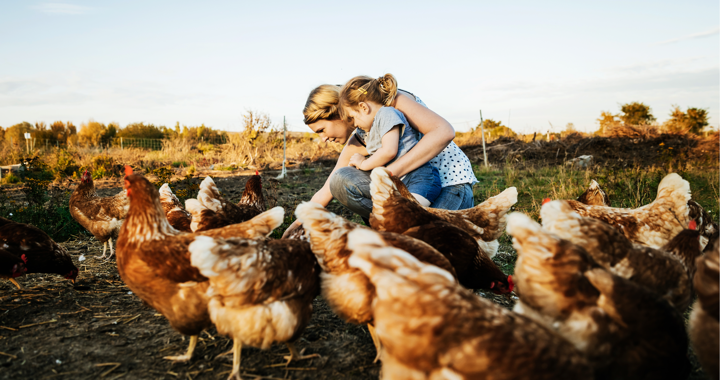 be a homesteader